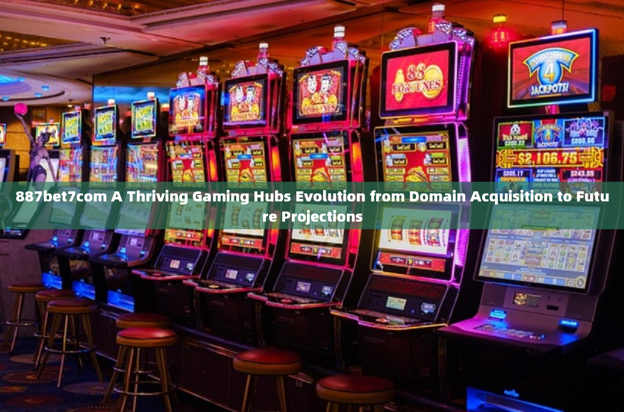 887bet7com A Thriving Gaming Hubs Evolution from Domain Acquisition to Future Projections