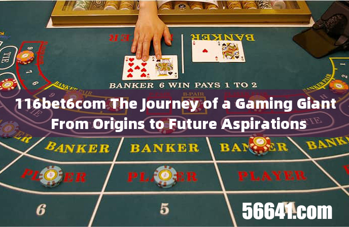 116bet6com The Journey of a Gaming Giant  From Origins to Future Aspirations