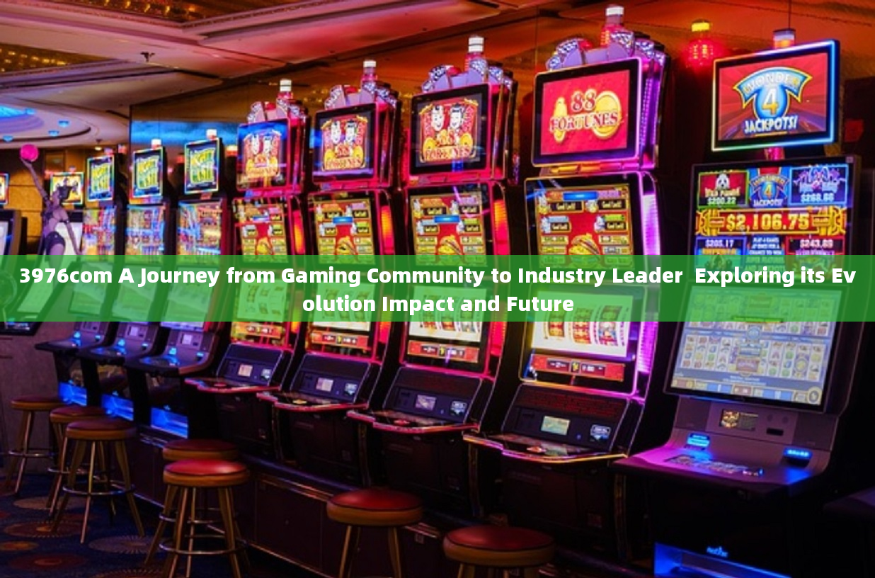 3976com A Journey from Gaming Community to Industry Leader  Exploring its Evolution Impact and Futur